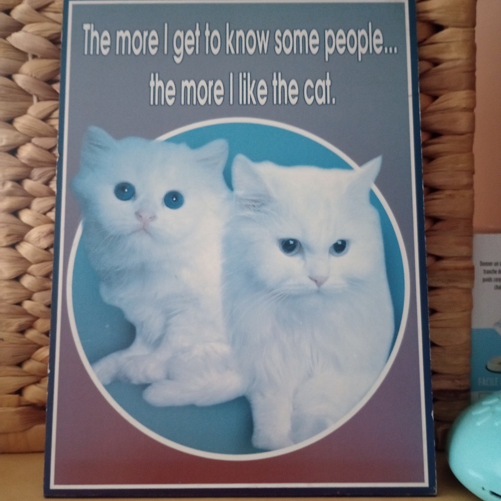The More I Get to Know Some People, the More I Like the Cat Poster (vintage)